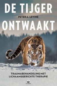 De tijger ontwaakt